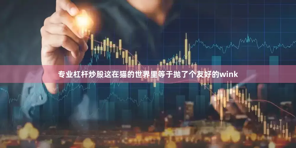 专业杠杆炒股这在猫的世界里等于抛了个友好的wink