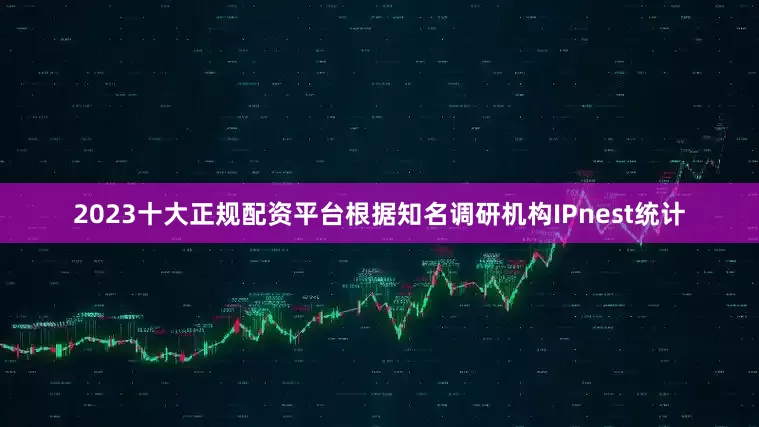 2023十大正规配资平台根据知名调研机构IPnest统计